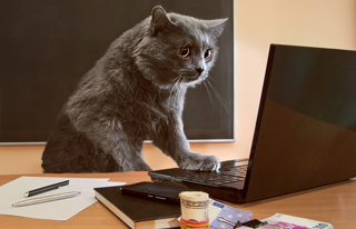 佛山网站设计公司是否可靠，我们要怎样分析？ 